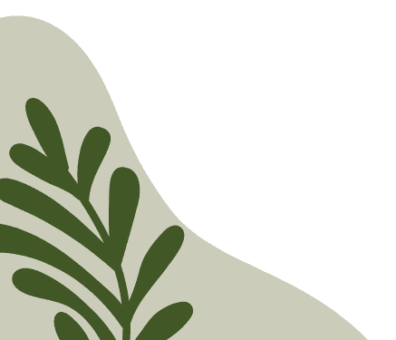 PHAN THÙY DƯƠNG