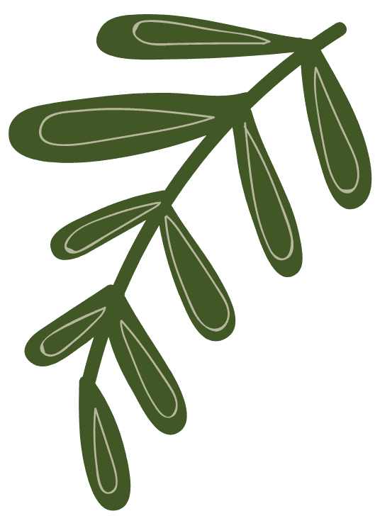PHAN THÙY DƯƠNG